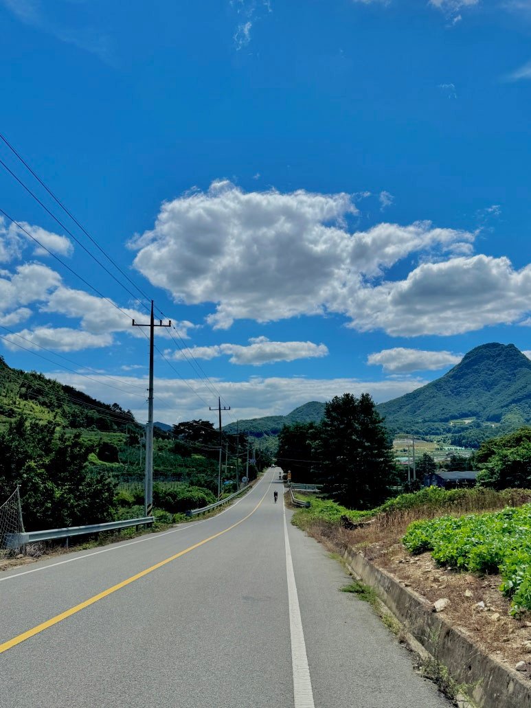 사진 설명