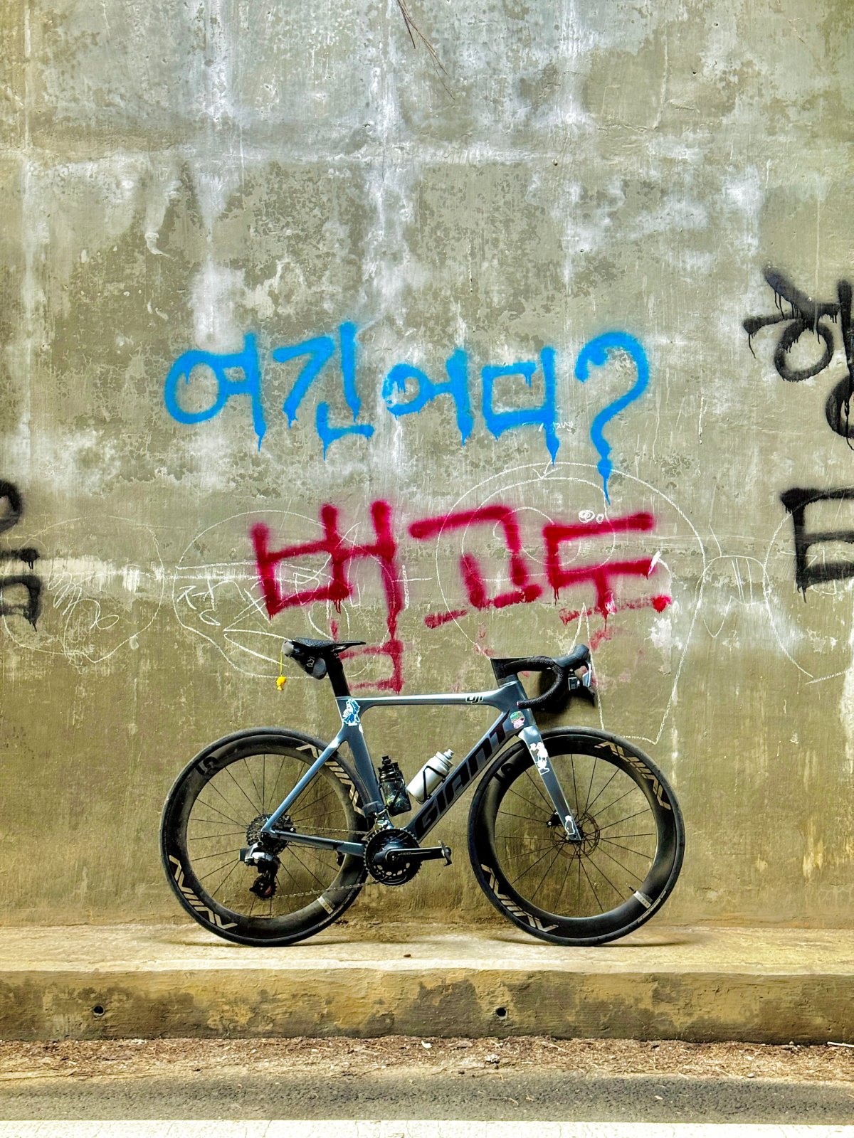 사진 설명